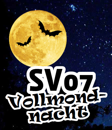 Vollmondnacht  die Dritte